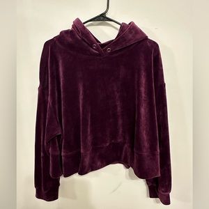 Velvet Philosophy Crop Hoodie